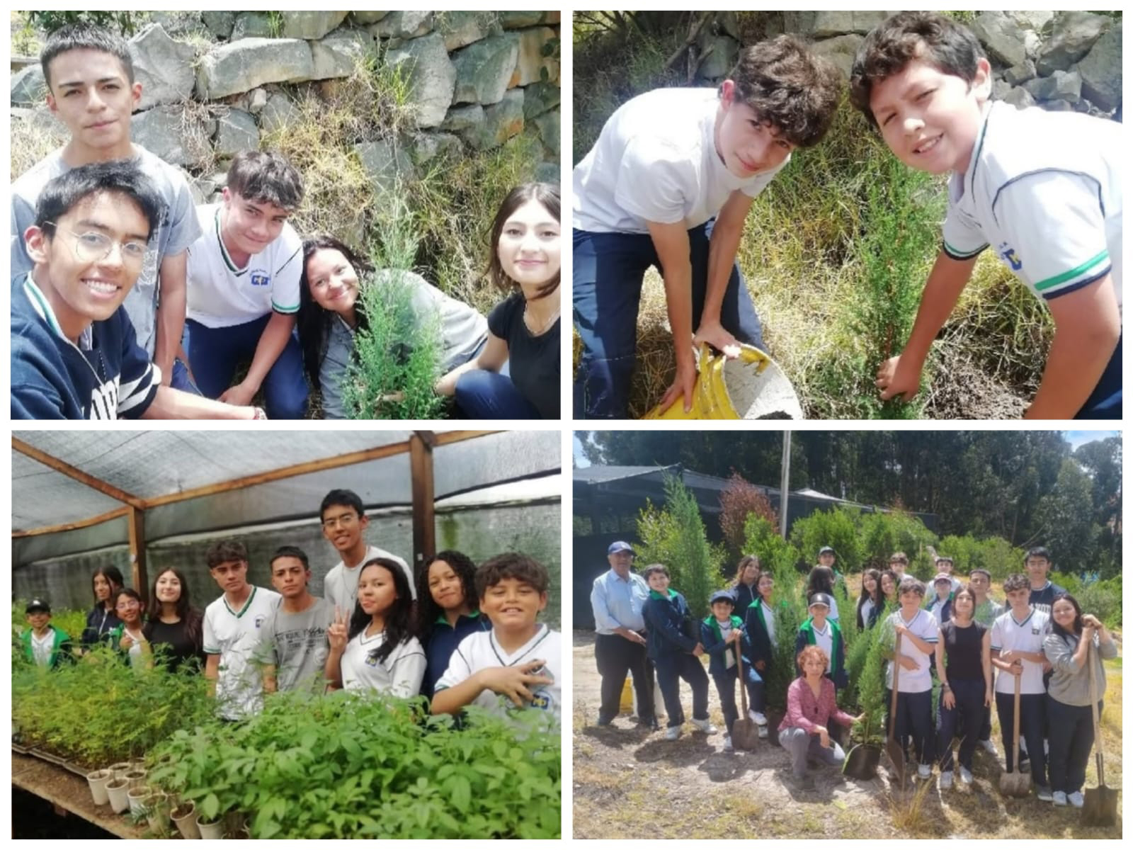 IMAGEN #3 JORNADA DE ARBORIZACIÖN copia